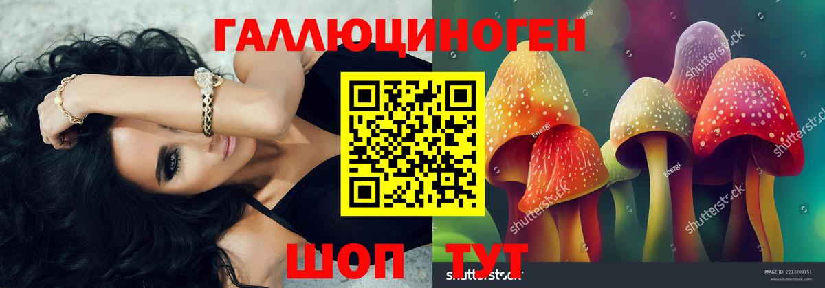 Псилоцибиновые грибы Cubensis  как найти закладки  Муром  Вход с VPN 
